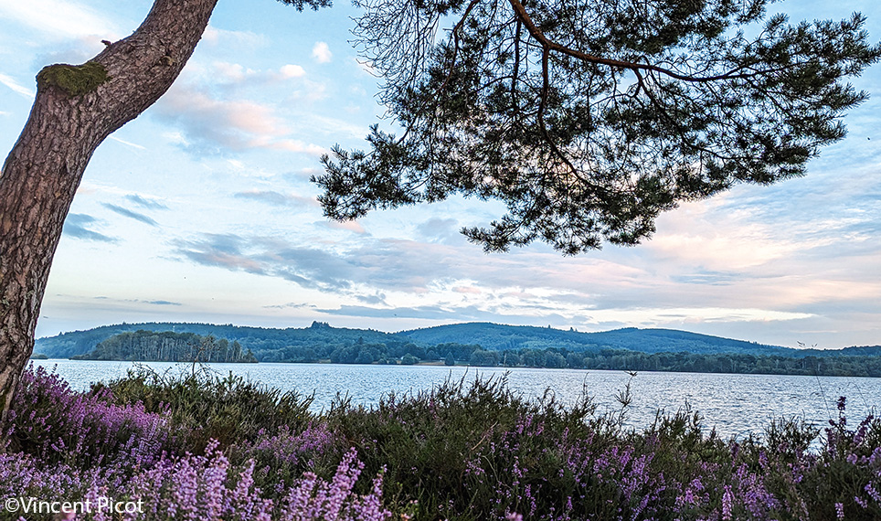 Le lac de Vassivière