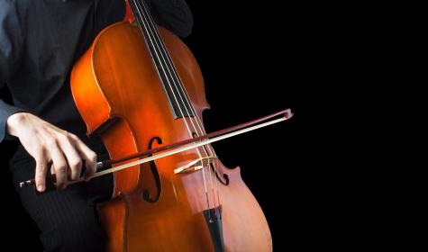 Musikinstrument